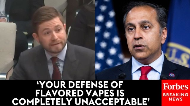 Raja Krishnamoorthi Tells Witness He Is 'Endangering' The Youth By Advocating For Flavored Vapes