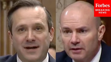 Mike Lee Presses Energy Nom About Nuclear And Natural Gas: ‘How Important Do You Think Innovations Are?’