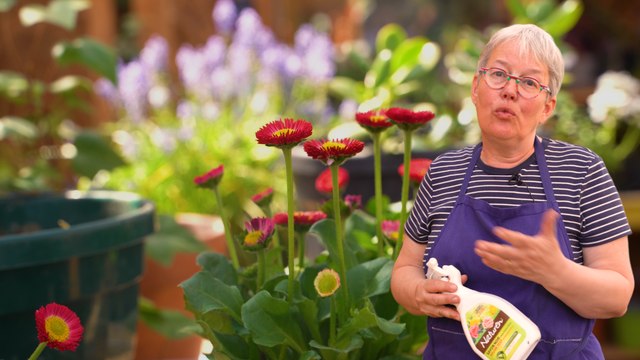 Cinq conseils pour jardiner de façon plus écolo