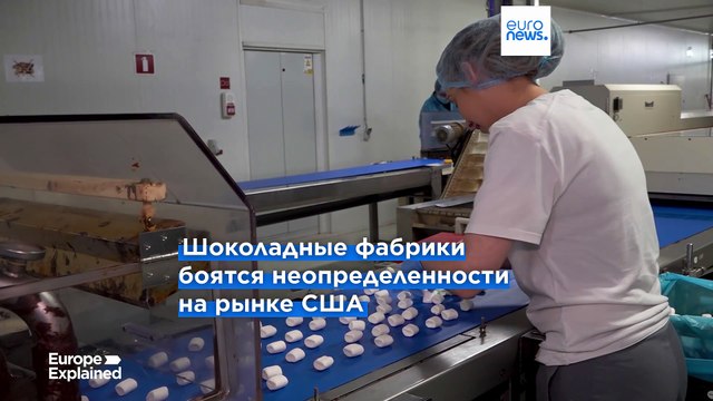 Дорогие зайцы: из-за новых пошлин в США дорожает шоколад из ЕС
