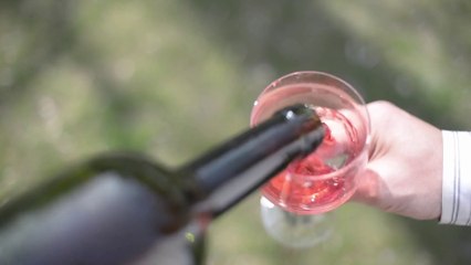 Via libera al disegno di legge che tutela l'agroalimentare