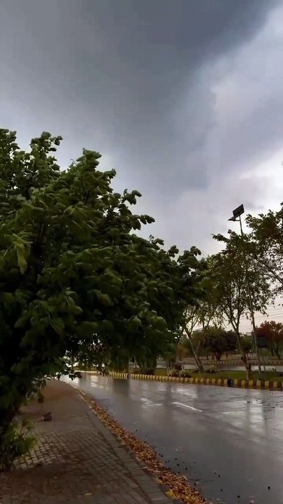 VID-20250412-WA0197
