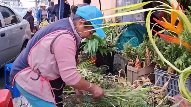 Ecuador elige presidente en Domingo de Ramos y bajo estado de excepción