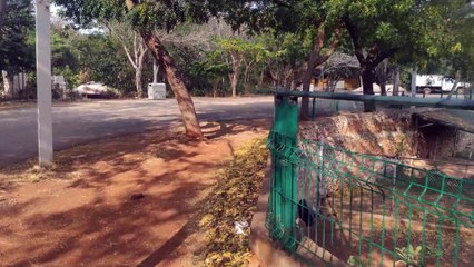 Animaya - Mérida - Yucatán - 4K - Parte 6