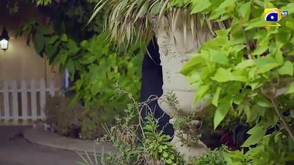 Dayan Episode 15 - 14th April 2025 - HAR PAL GEO