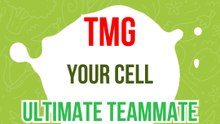 TMG: The Secret to Powering Your Body’s Energy!