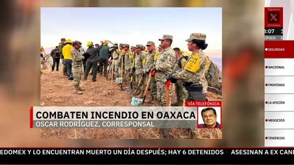 Más de 300 soldados y brigadistas combaten incendio en la Sierra Norte de Oaxaca