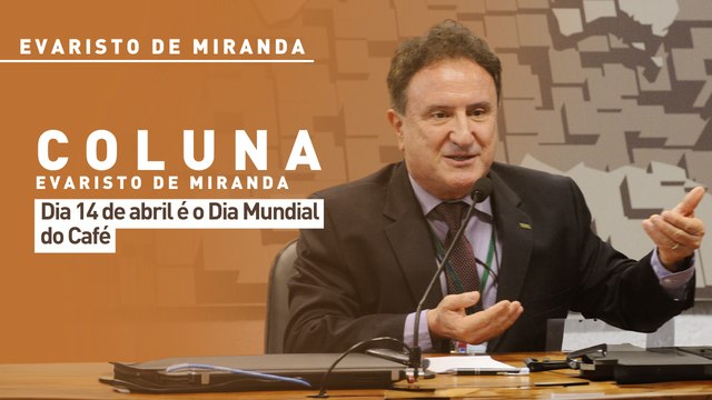 Dia 14 de abril é o Dia Mundial do Café