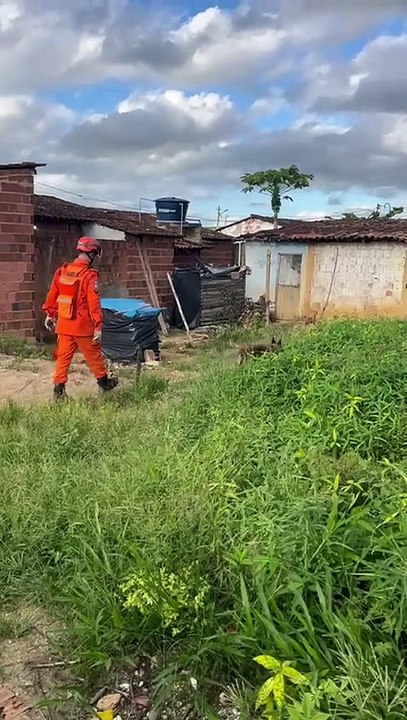 Buscas por bebê Ana Beatriz mobilizam bombeiros em Novo Lino