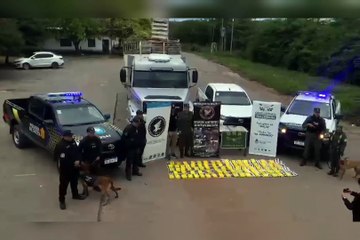 Metán: secuestraron 126 kilos de cocaína y hay nueve detenidos