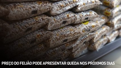 Preço do feijão pode apresentar queda nos próximos dias