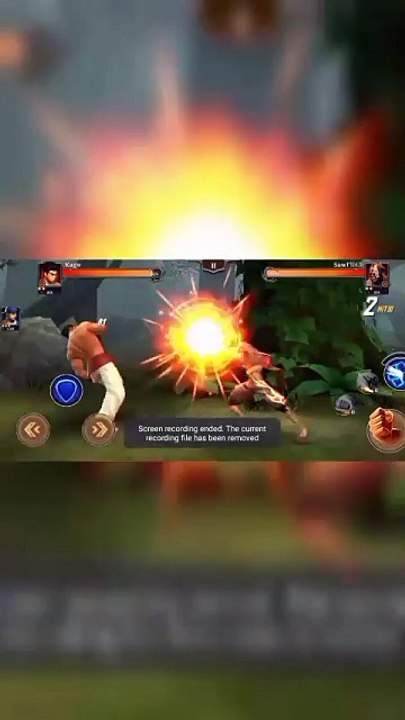 Action Fight Game