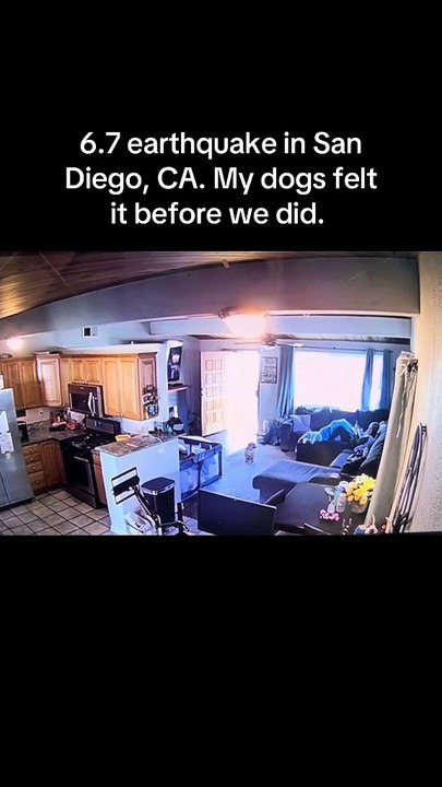 Perros en San Diego "predicen" temblor magnitud 5.2.