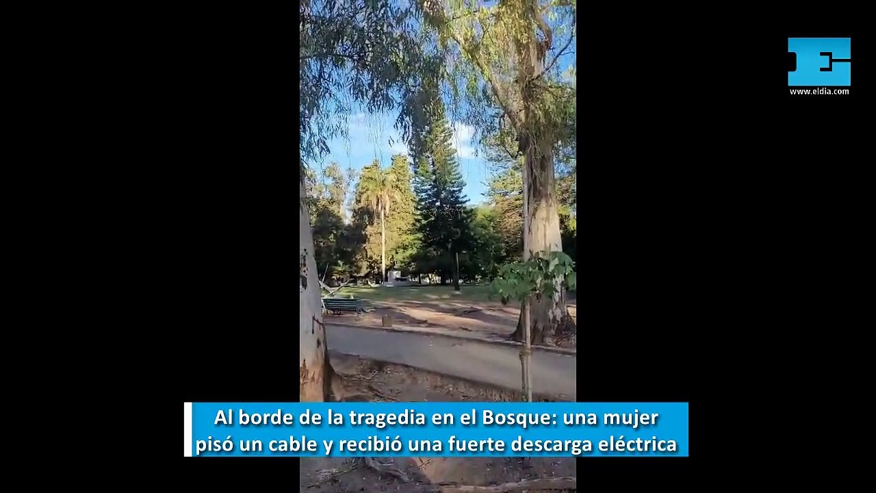 Al borde de la tragedia en el Bosque: una mujer pisó un cable y recibió una fuerte descarga eléctrica
