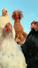 This is why I pay my internet bills on time