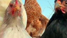 This is why I pay my internet bills on time