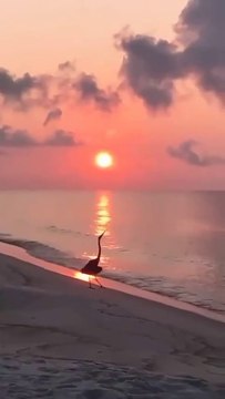 Aa Chal k Tujhe Mai Le K Chaloon Ek Aesy Gagan K Taly... Nice and Beautiful Song | All-Time Favourite Melodies