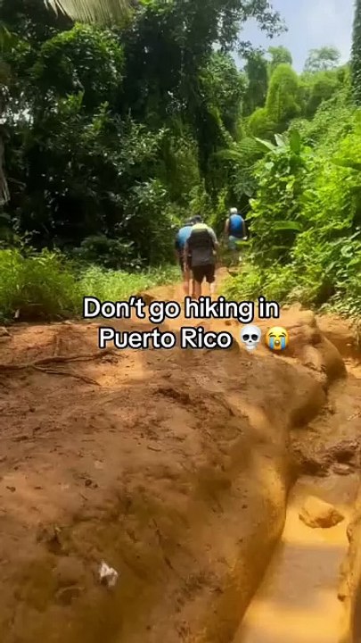 The mud