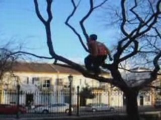 2º mini sampler de hugo 2008 espero ke os guste