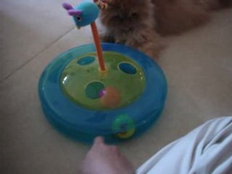 Cali et son nouveau jeu