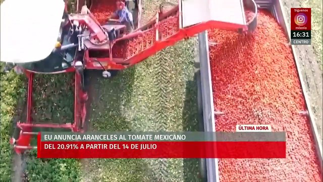 EU anuncia que impondrá aranceles del 20.91% a la mayoría de tomates mexicanos