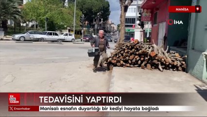 Manisalı esnafın duyarlılığı bir kediyi hayata bağladı