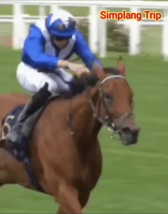 Simplang Trip 1: Here’s the tips how to win the Horse Racing competition.