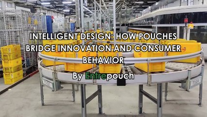 INTELLIGENT DESIGN: HOW POUCHES BRIDGE INNOVATION AND CONSUMER BEHAVIOR