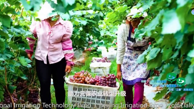 Dayu Water Saving Appears at Beijing Irrigation Expo, Decoding Chinese Brand the Belt and Road Sailing Plan