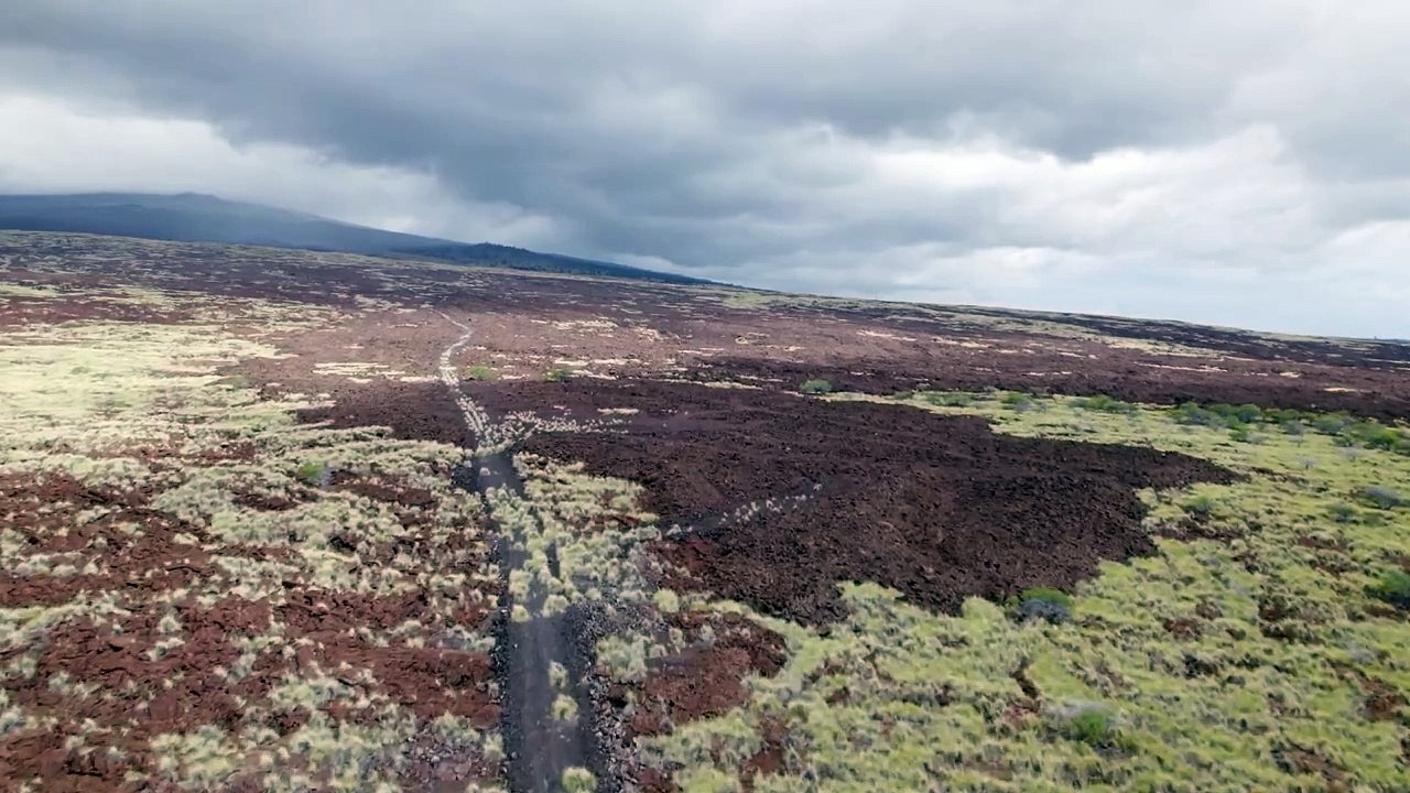 House Bunny | show | 2008| S1 | Official Trailer