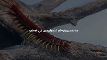 _رؤية أم أربع وأربعين في المنام