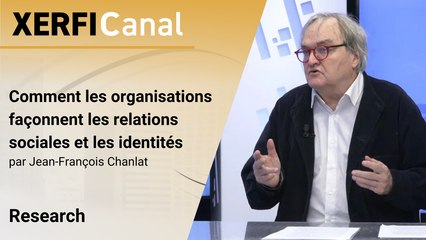 Comment les organisations façonnent les relations sociales et les identités [Jean-François Chanlat]