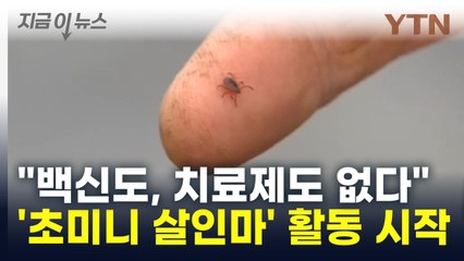 381명 목숨 앗아갔다... '초미니 살인마' 활동 시작 [지금이뉴스] / YTN