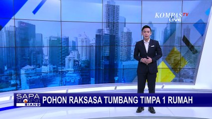 Pohon Pulai Ratusan Tahun Tumbang Timpa Rumah Warga di Ponorogo