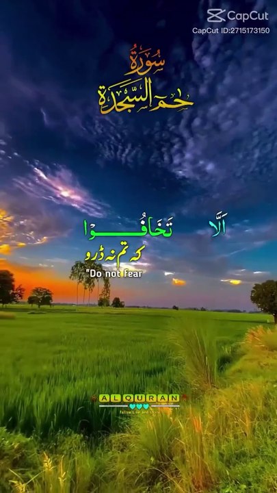 Heart Touching Quran Recitation That Will Move Your Soul