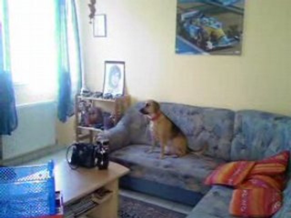Video 2 canelle