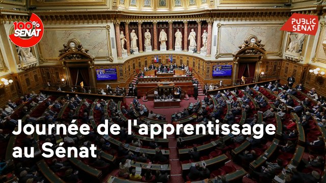 100% Sénat - Rencontres de l'apprentissage au Sénat