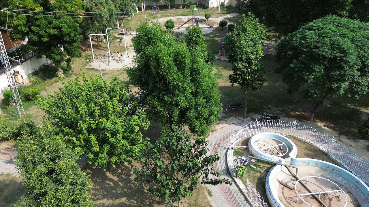 Burewala