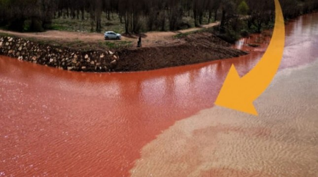 Kızılırmak'taki ürküten görüntünün nedeni belli oldu!
