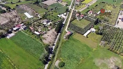 Hasat başladı! Tarlada 20, tezgahta 50 TL