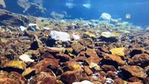 Volkanik dağın eteklerindeki doğal akvaryum! İncelemeye alındı