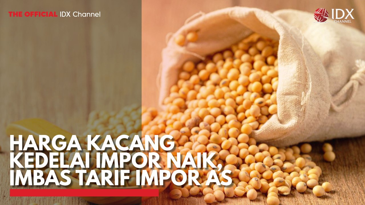 Harga Kacang Kedelai Impor Naik, Imbas Tarif Impor AS