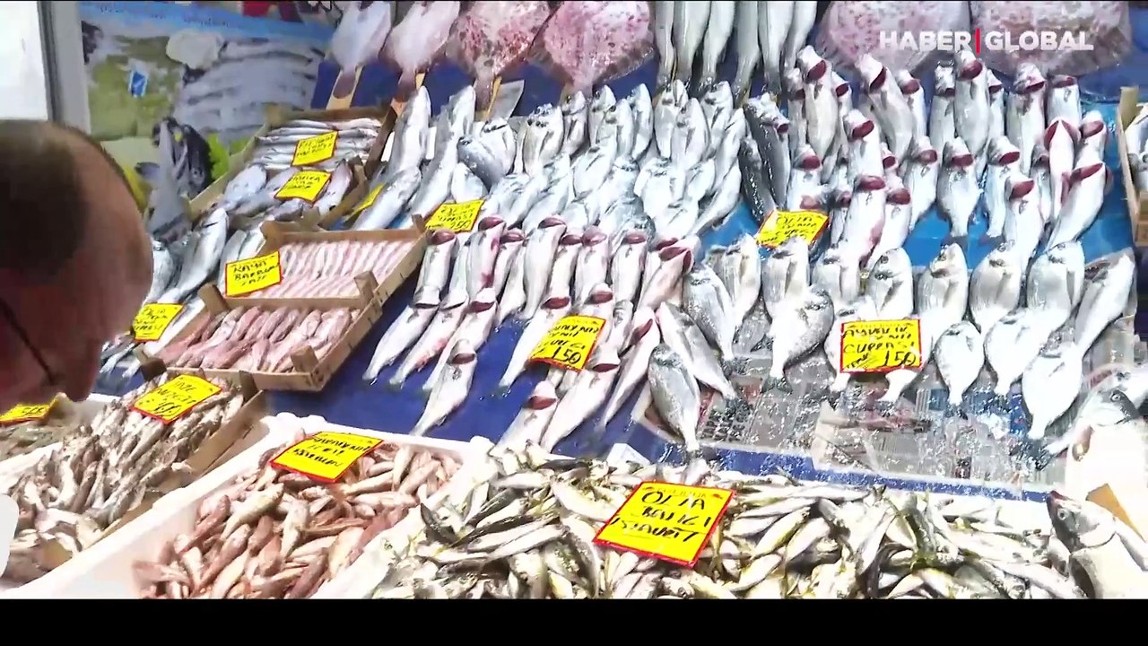 Balıkçılara av yasağı molası: Sezonun yıldızı palamut oldu