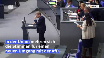 Unionsfraktionsvize Wadephul: AfD soll Ausschüsse leiten können