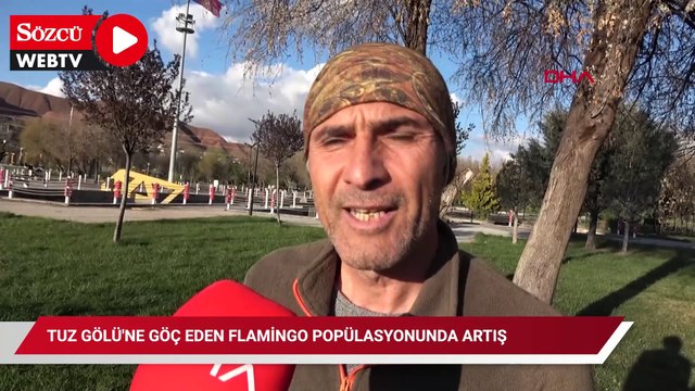 Tuz Gölü'ne göç eden flamingo popülasyonunda artış