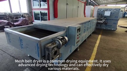 Mesh belt dryer