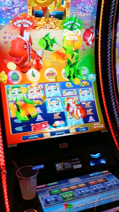 Dancing Fish!