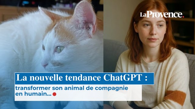 La nouvelle tendance ChatGPT : transformer son animal de compagnie en humain…