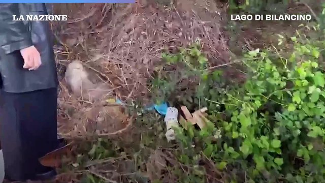 Omicidio in Mugello, scoperto il cadavere della guardia giurata scomparsa