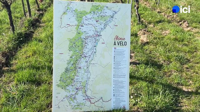 4/5 : les évènements vélo organisés en Alsace
